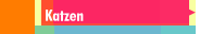 Katzen