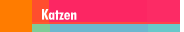 Katzen
